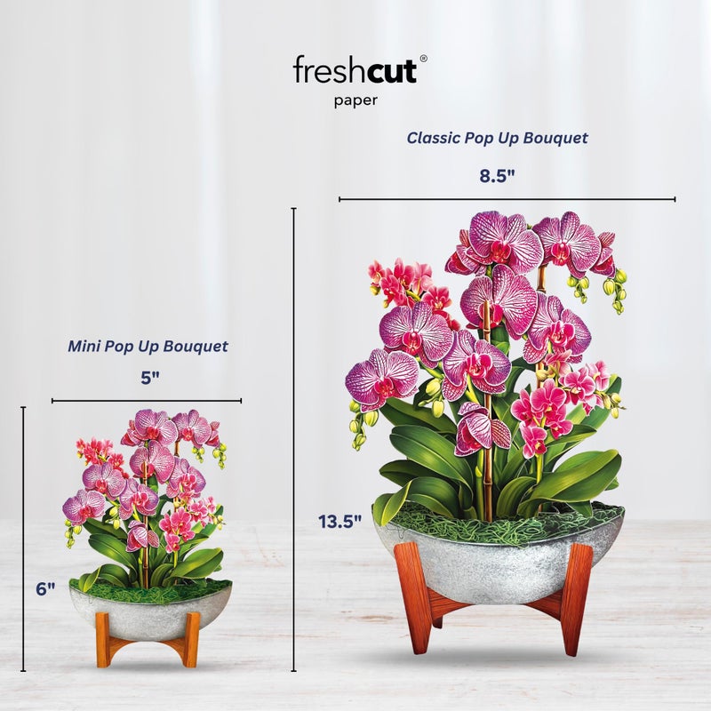Freshcut Paper Pop Up Cards, Mini Orchid Oasis, 6 Inch Mini Sized Forever Flower Bouquet 3D Popup Greeting Cards, Birthday Card, Get Well Gifts, Blank Notecard & Envelope - Image 3