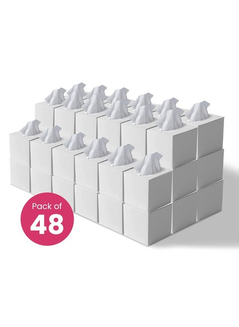2 Ply Facial Tissue 4800 Sheets in Cube Boxes - Contains 48 Box of 100 Premium Quality Soft and Absorbent Tissues