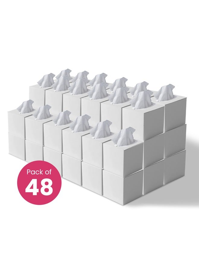 BRANDSFINITY - 2 Ply Facial Tissue 4800 Sheets in Cube Boxes - Contains 48 Box of 100 Premium Quality Soft and Absorbent Tissues - Image 1