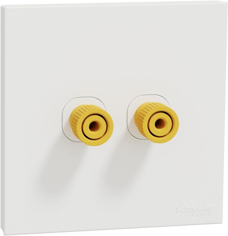 Schneider Electric AvatarOn C Speaker Connection - Image 1