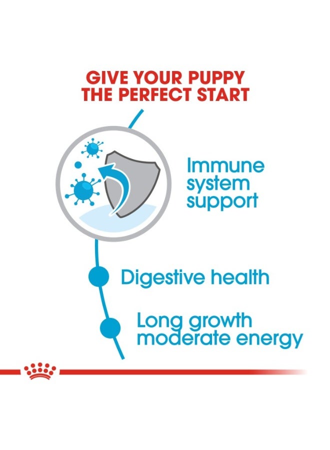 رويال كانين حجم التغذية الصحية ماكسي جرو 1 كجم - Image 4