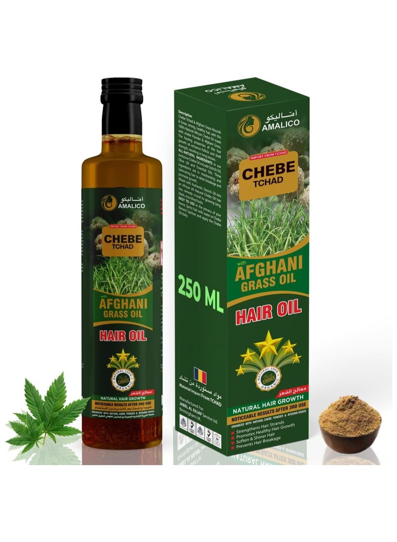 Chebe AMALICO Afghani Oil for Hair Growh with Chebe Powder - 10 in 1 Hair Oil for Deep Moisturizing - Hair Oil for Nourishment of Scalp and Dry Damaged Hair - 250 ML - Image 1