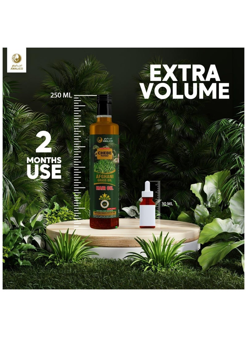 Chebe AMALICO Afghani Oil for Hair Growh with Chebe Powder - 10 in 1 Hair Oil for Deep Moisturizing - Hair Oil for Nourishment of Scalp and Dry Damaged Hair - 250 ML - Image 5