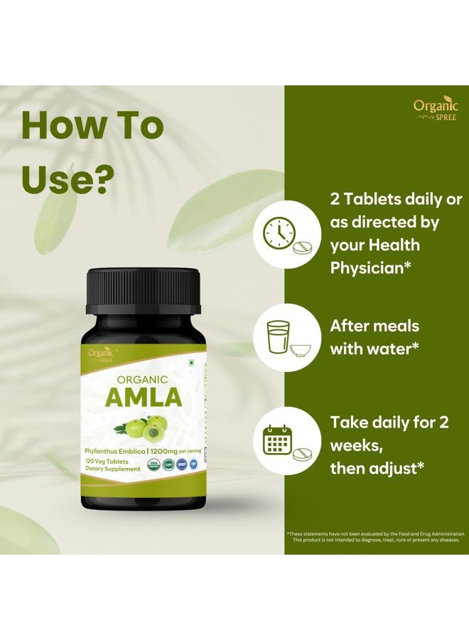 ORGANIC SPREE AMLA 120 Tablets | Indian Gooseberry (Amalaki) | USDA Organic Certified | Rich in Vitamin C, Antioxidants and Immune Support | Organic and Natural 120tab - Pack of 3 - Image 3