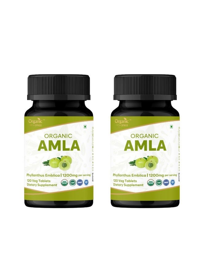 ORGANIC SPREE AMLA 120 Tablets | Indian Gooseberry (Amalaki) | USDA Organic Certified | Rich in Vitamin C, Antioxidants and Immune Support | Organic and Natural 120tab - Pack of 3 - Image 1