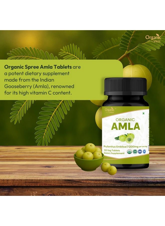 ORGANIC SPREE AMLA 120 Tablets | Indian Gooseberry (Amalaki) | USDA Organic Certified | Rich in Vitamin C, Antioxidants and Immune Support | Organic and Natural 120tab - Pack of 3 - Image 2