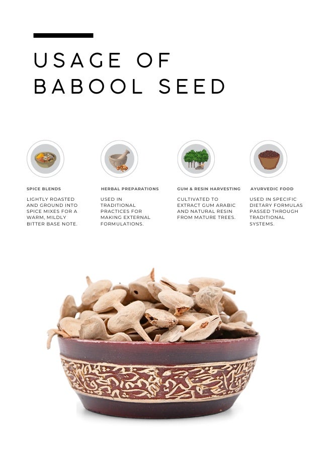 AWAFI MILL Babool Seeds (Acacia nilotica) - 500 g | 17.6 Oz - Image 3