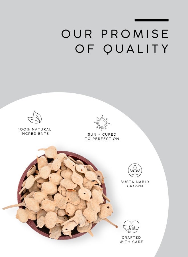 AWAFI MILL Babool Seeds (Acacia nilotica) - 500 g | 17.6 Oz - Image 4