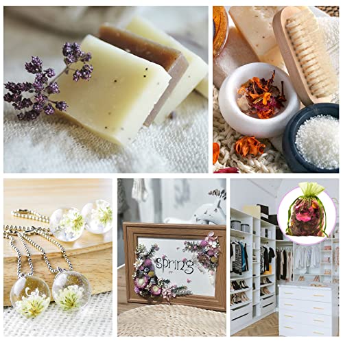 SACATR Dried Flowers, 50 Bags 100% Natural Dried Herbs Kit for Soap Making, Candle, Resin Jewelry Making, Bath, Nail - Include Rose Petals, Rosebuds, Lilium, Jasmine, Don't Forget Me and More - Image 5