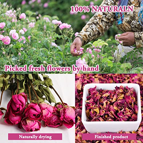 SACATR Dried Flowers, 50 Bags 100% Natural Dried Herbs Kit for Soap Making, Candle, Resin Jewelry Making, Bath, Nail - Include Rose Petals, Rosebuds, Lilium, Jasmine, Don't Forget Me and More - Image 3