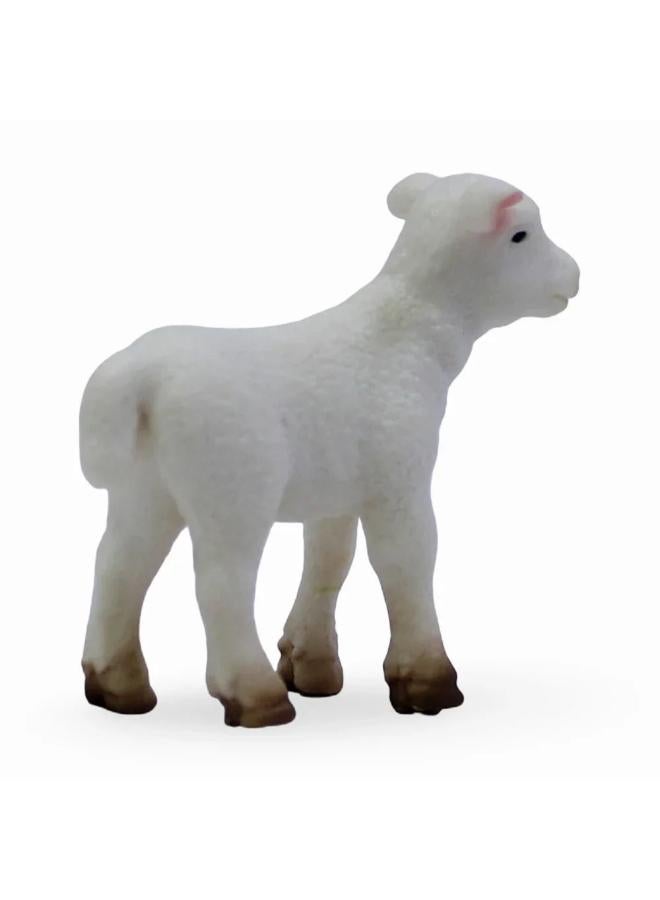 CollectA Lamb Standing Figurine - Image 2