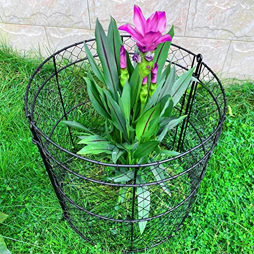 JILLSKY 6 Pack 14"x16" Modular Plant Protection Cloches, Rustproof Chicken Wire Cages for Flowers, Seedlings & Vegetables, Combine to Large Fences for Raised Beds & Patios, Keep Rabbits, Squirrels Out - Image 1