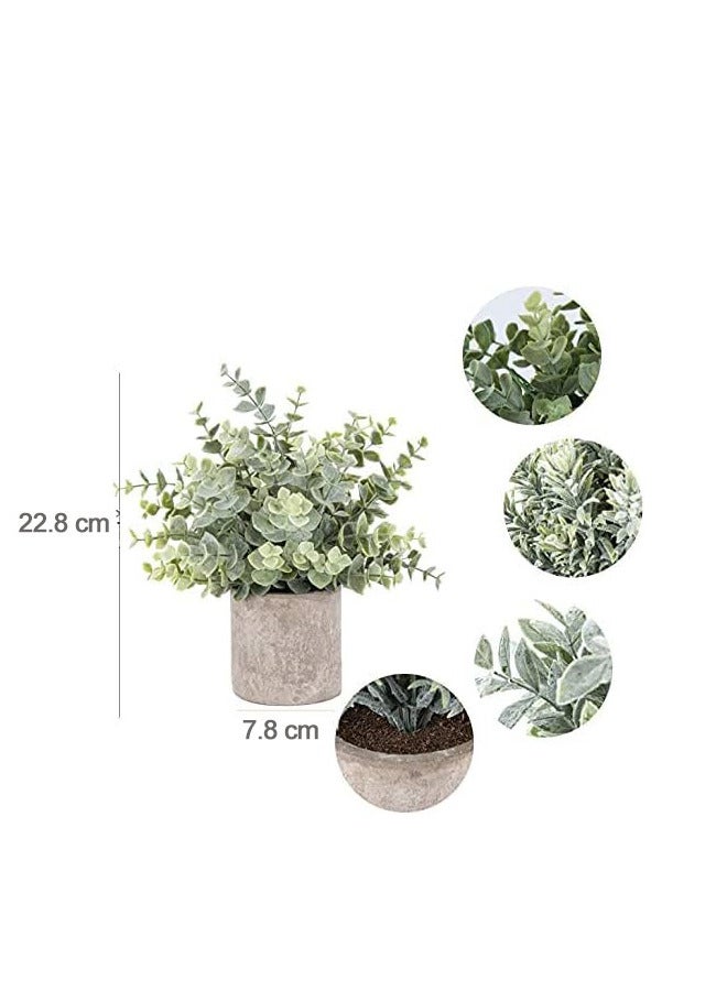 Rokis Small Artificial Plants Fake Potted Plant, Mini Artificial Plastic Eucalyptus Plants Potted Faux Plants Indoor for Desk Bathroom Bedroom Home Office Greenery Decoration 3pcs - Image 2