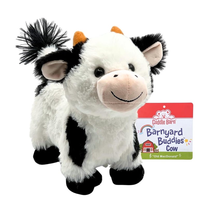 Cuddle Barn Walking Cow Plush  Barnyard Buddies Interactive Toy Farm Animal Moos Moves Wags Tail to Old Macdonald Had a Farm Song  Soft Musical Stuffed Animal  Gift for Toddlers and Kids  8 - Image 2