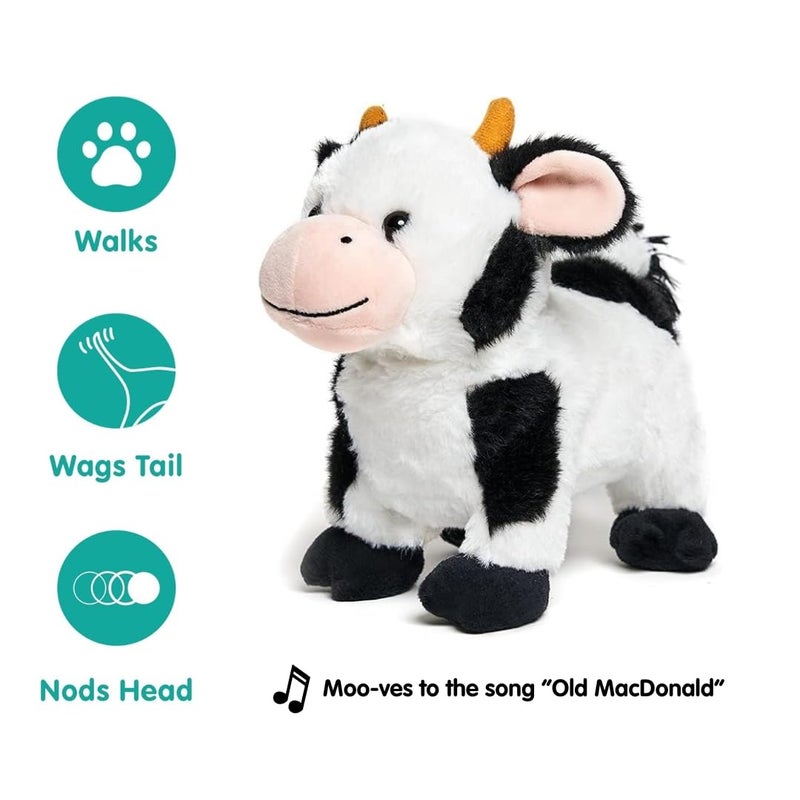 Cuddle Barn Walking Cow Plush  Barnyard Buddies Interactive Toy Farm Animal Moos Moves Wags Tail to Old Macdonald Had a Farm Song  Soft Musical Stuffed Animal  Gift for Toddlers and Kids  8 - Image 3