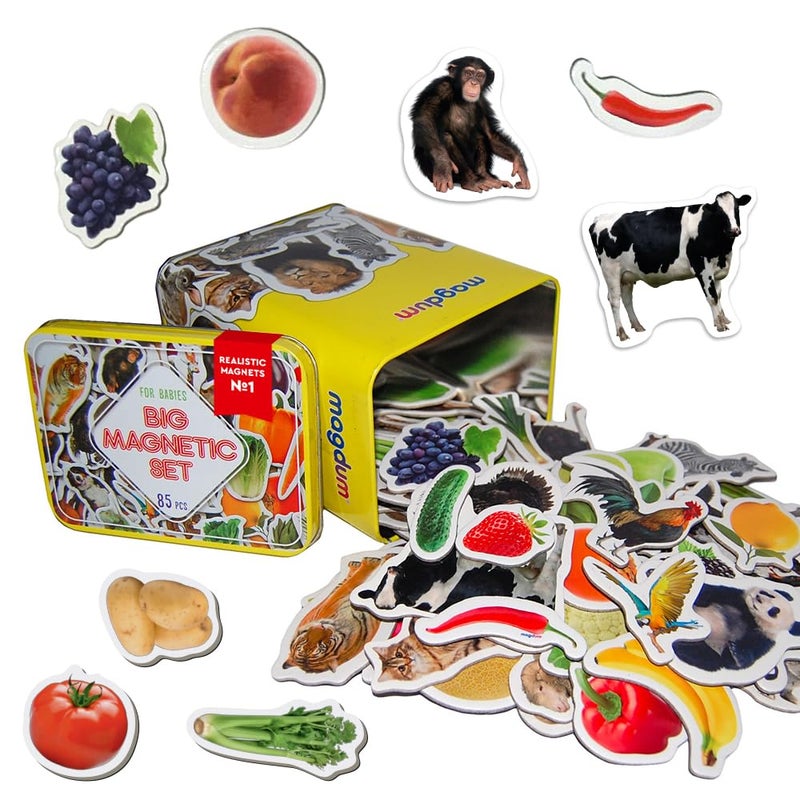 85 Fridge Magnets for Toddlers in Gift Tin Box Kids Magnets for Fridge  Toddler Magnets for Refrigerator  Magnetic Animals  Fridge Magnets for Kids  Animal Magnets  Toddler Fridge Magnets