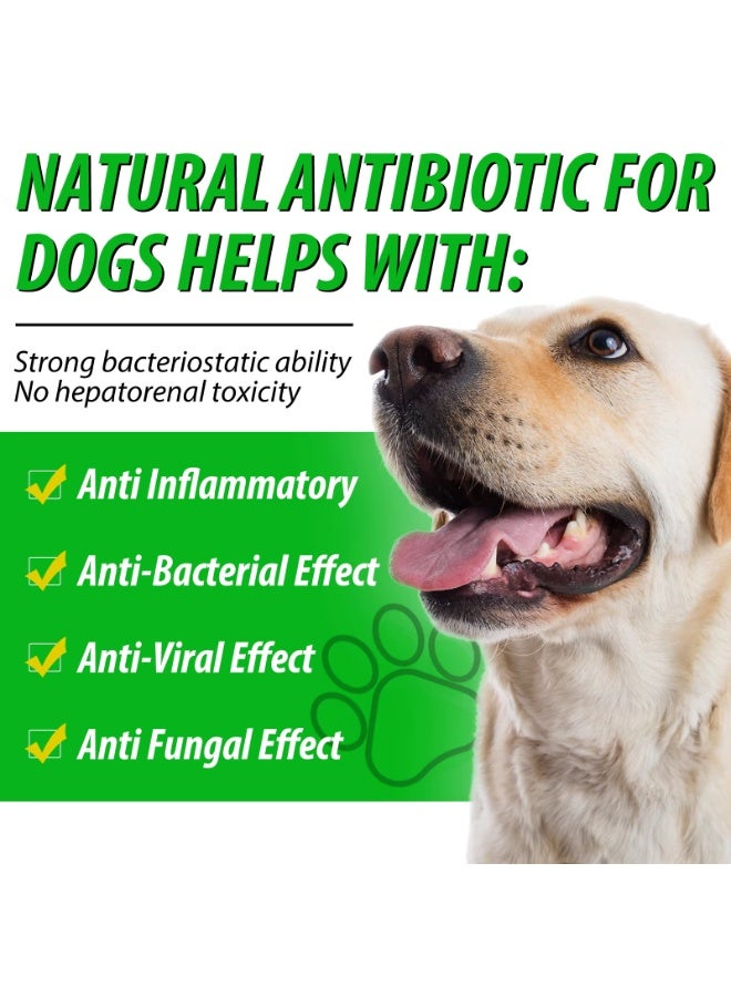 Oimmal Natural Defense for Dogs Immune Booster for Dogs 60ml, Helps With Anti Inflammatory, Anti-Bacterial Effect, Anti-Viral Effect, Anti Fungal Effect for Cats - Image 4