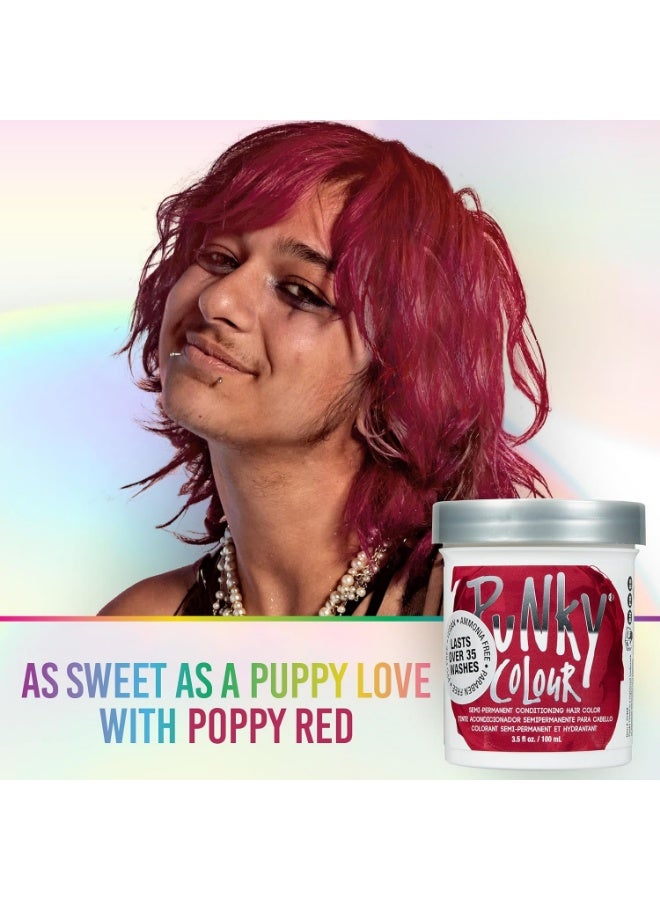 Punky Semi-Permanent Hair Color by Bobbi Red Vegan PPD & Paraben Free Lasts up to 25 Washes 3.5 oz - Image 2