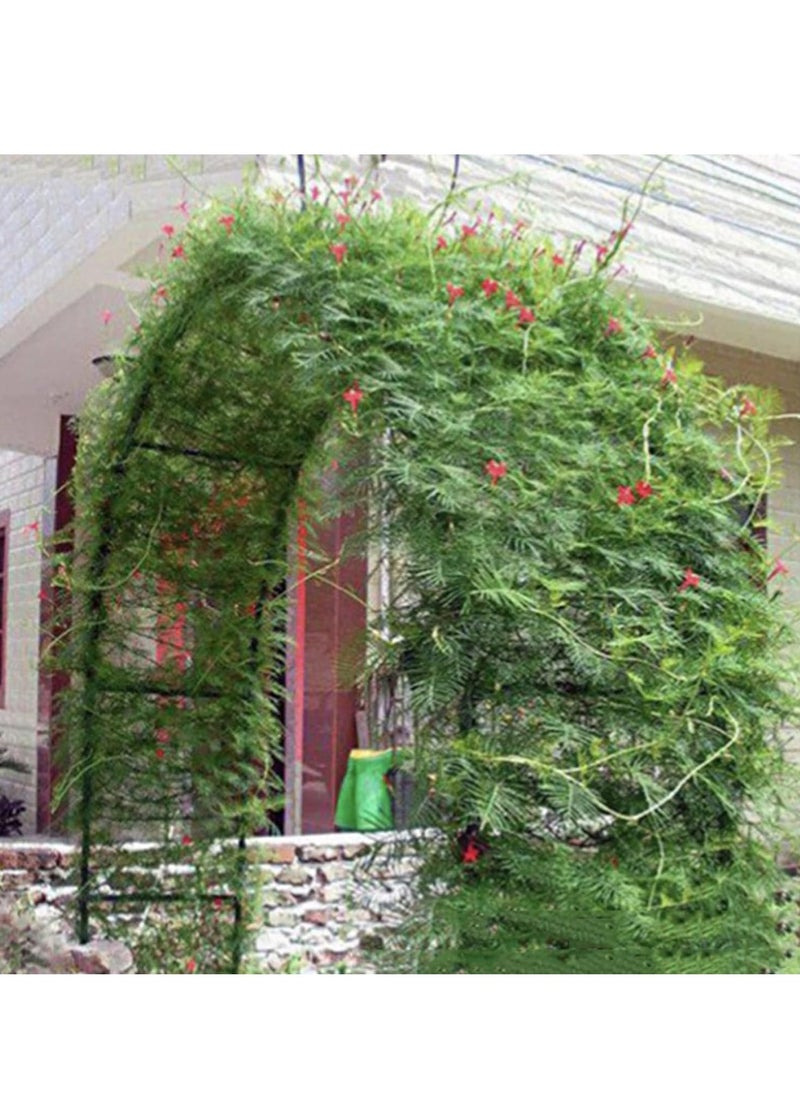 Garden Arch Trellis Dark Green Iron Arbor Courtyard Arbor Trellis for Various Climbing Plants Rose Outdoor Archway Wedding Ceremony Party