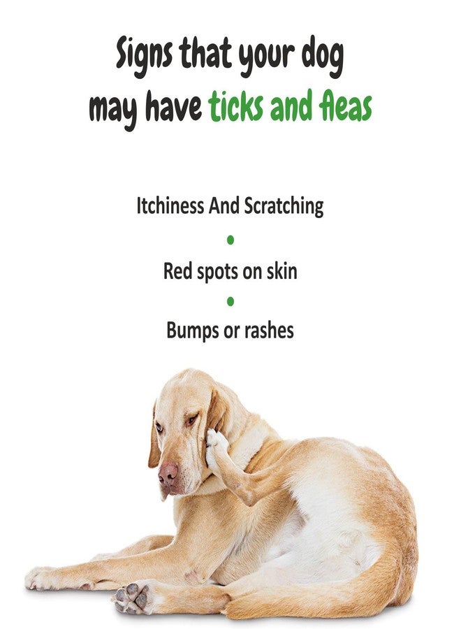 هارودز شامبو بي إس سي إل واي نيم العشبي للحيوانات الأليفة، للوقاية من القراد والبراغيث، غني بالألوة وزيت جوز الهند، شامبو متوازن الحموضة للكلاب، يعالج الجلد، مناسب للكلاب من البوميرانيان إلى الجولدن ريتريفر - 200 مل - Image 5