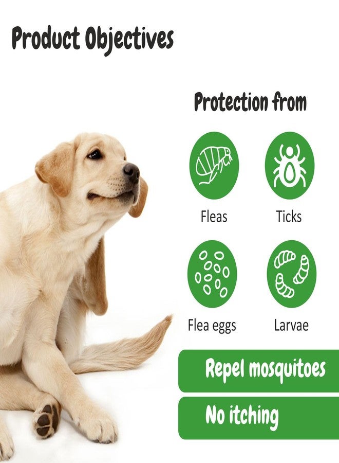 هارودز شامبو بي إس سي إل واي نيم العشبي للحيوانات الأليفة، للوقاية من القراد والبراغيث، غني بالألوة وزيت جوز الهند، شامبو متوازن الحموضة للكلاب، يعالج الجلد، مناسب للكلاب من البوميرانيان إلى الجولدن ريتريفر - 200 مل - Image 3