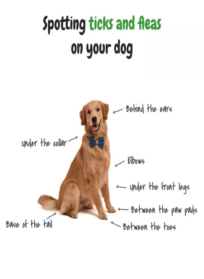 هارودز شامبو بي إس سي إل واي نيم العشبي للحيوانات الأليفة، للوقاية من القراد والبراغيث، غني بالألوة وزيت جوز الهند، شامبو متوازن الحموضة للكلاب، يعالج الجلد، مناسب للكلاب من البوميرانيان إلى الجولدن ريتريفر - 200 مل - Image 4