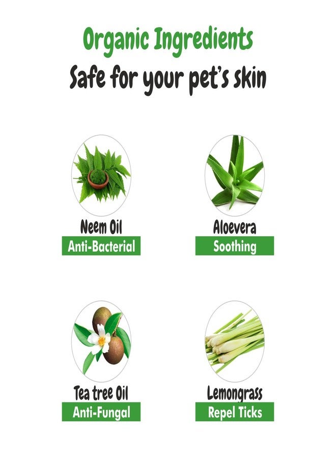 هارودز شامبو بي إس سي إل واي نيم العشبي للحيوانات الأليفة، للوقاية من القراد والبراغيث، غني بالألوة وزيت جوز الهند، شامبو متوازن الحموضة للكلاب، يعالج الجلد، مناسب للكلاب من البوميرانيان إلى الجولدن ريتريفر - 200 مل - Image 2