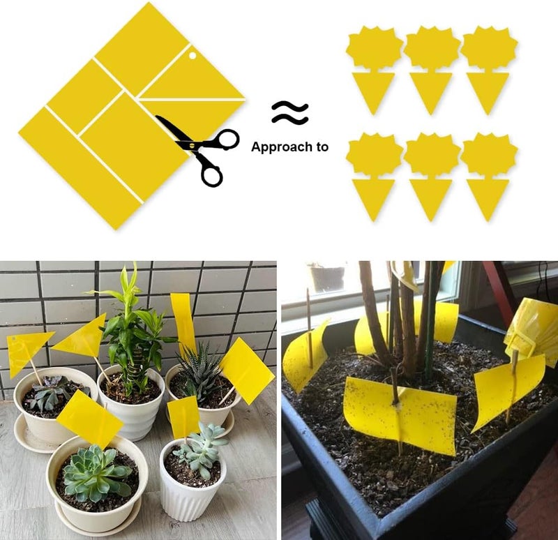 Kensizer 20-Pack Fruit Fly Trap, Yellow Sticky Gnat Traps Killer for Indoor/Outdoor Flying Plant Insect Like Fungus Gnats, Whiteflies, Aphids, Leaf Miners - 6x8 in, Twist Ties Included - Image 2