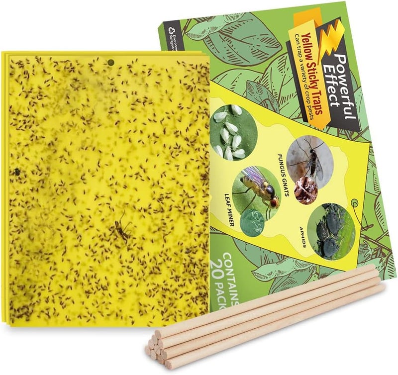 Kensizer 20-Pack Fruit Fly Trap, Yellow Sticky Gnat Traps Killer for Indoor/Outdoor Flying Plant Insect Like Fungus Gnats, Whiteflies, Aphids, Leaf Miners - 6x8 in, Twist Ties Included - Image 1