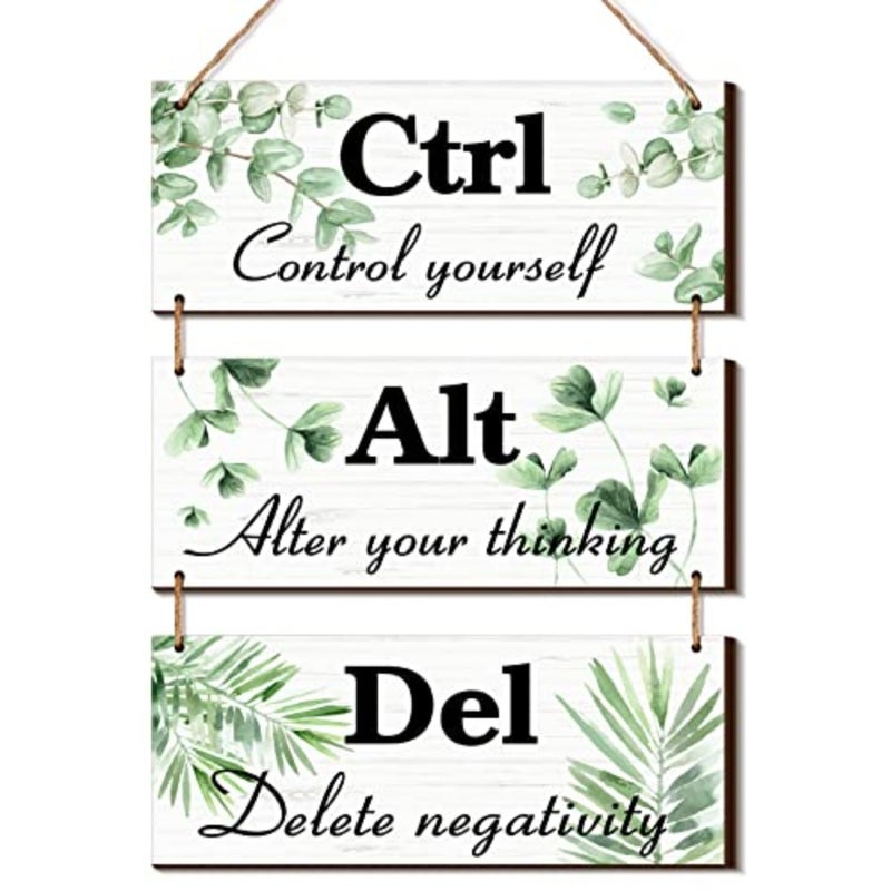3 Pcs Office Wall Decor Wood Hanging Cubicle Decor Summer Inspirational Ctrl Alt Del Sign tion for Bathroom Indoor Home Living Room - Image 1