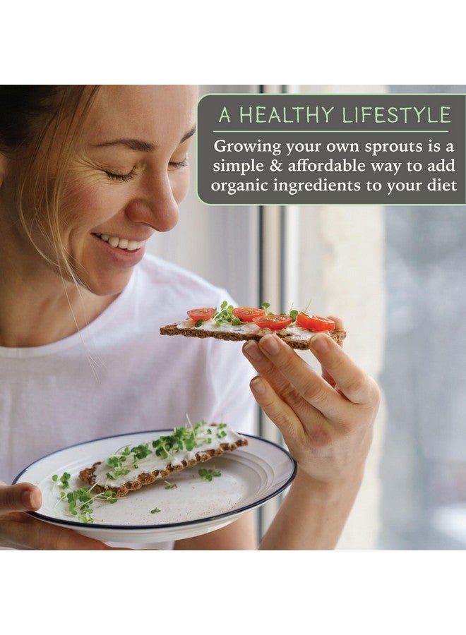 Elementi Sprouting Lids For Wide Mouth Mason Jars (Set Of 2), Sprouting Jar Kit For Organic Sprouts, Alfalfa & Mung Bean Sprouts Grow Kit, 316 Stainless Steel Mesh Screen Strainer Lid (Mint Green) - Image 2