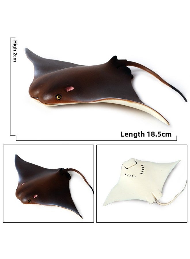Marine Animal Model Children's Science And Education Toys Devil Fish Fish Fish Simulation Solid Sea Animal Plastic Ornaments-Color:Ox-1525 Manta Ray (Brown) - Image 4