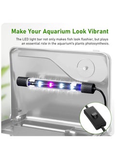 REPTI ZOO Fish Tank, Glass Aquarium with Air Pump, LED Cool Lights and Filter, Betta Fish Aquarium Starter Kit (pink） - pzsku/Z985B02E2966D7B00C3C5Z/45/1741010708/2e469e26-f647-455b-91bd-c85bf19d986b