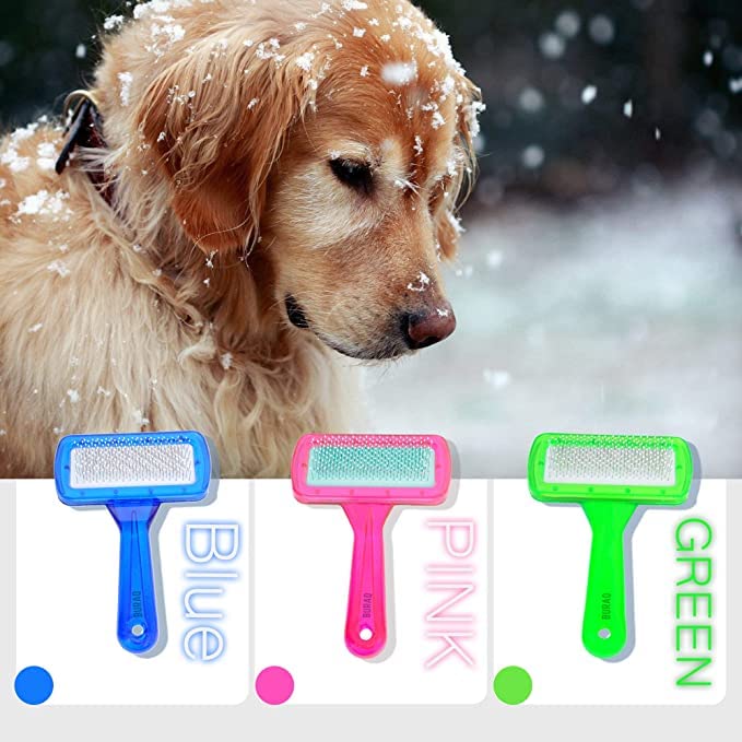 Newvent Pet Brush For Groomimg dog pet massage tool Daily use to clean Loose hair (pack Of 1) - Image 3