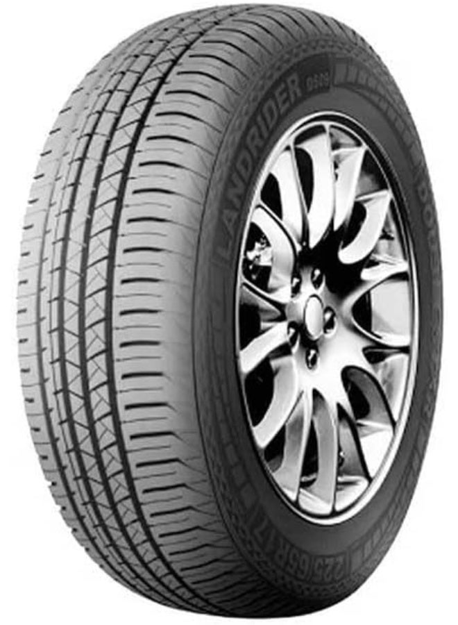 Doublestar إطارات سيارات دوبلستار 225/60R17 99H دوبلستار DS09 TL مثبتة بواسطة دايال إيه تاير - Image 1