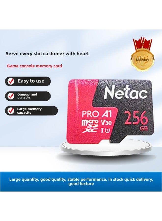 Trimui Smart Pro Game Card RGB30 X55 RGB20S Game Console Memory Card TF Card Copy-Color:Trimui Smart Pro Game Card-Capacity:256GB English Games