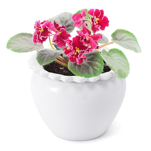Lovely Ran African Violet Flower Pot Ceramic Self Watering Flower Pot 6.5 * 4.6 * 4 inch Simple Plant Self Watering Pot Indoor Flowers High Absorption Herbaceous Flower Pots Modern Decor Pots - Image 1