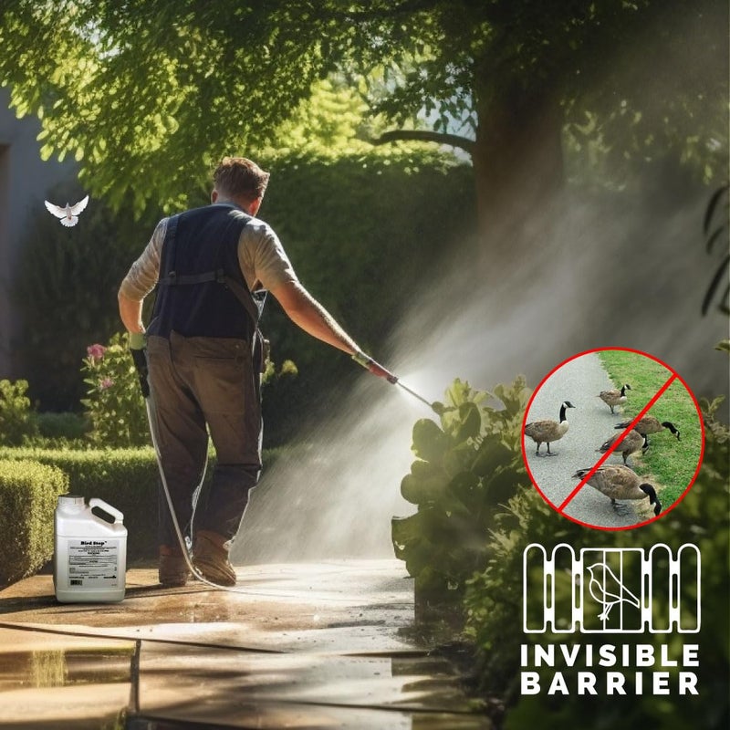 Bird-X Bird Stop Liquid, Invisible and Effective Bird Removal Liquid, Keep Birds Away, Contains Methyl Anthranilate, Easy to Apply, BS-GAL, 1-Gallon - Image 2
