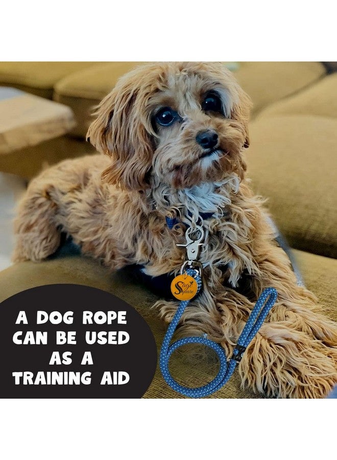 سايج سكوير حبل تدريب ومقود بخطاف قوي - خياطة عاكسة، متين ومتعدد الاستخدامات للكلاب - مثالي للكلاب الصغيرة والمتوسطة الحجم - متعدد الأحجام والألوان (حبل عشوائي 6 مم) - Image 3