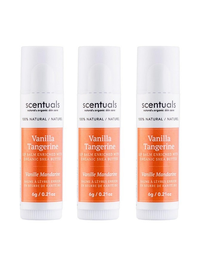 Scentuals Lip Balm Vanilla Tangerine Set of 3, Made with Shea Butter, Cocoa Butter, Avocado & Jojoba oil, Beeswax, Vitamin E and Essential oil, Moisturizing Lip Care, Cruelty Free Hydration, Natural (3 Pack) - Image 1