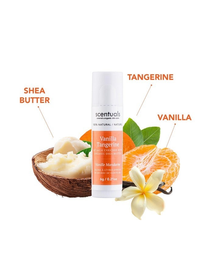 Scentuals Lip Balm Vanilla Tangerine Set of 3, Made with Shea Butter, Cocoa Butter, Avocado & Jojoba oil, Beeswax, Vitamin E and Essential oil, Moisturizing Lip Care, Cruelty Free Hydration, Natural (3 Pack) - Image 2