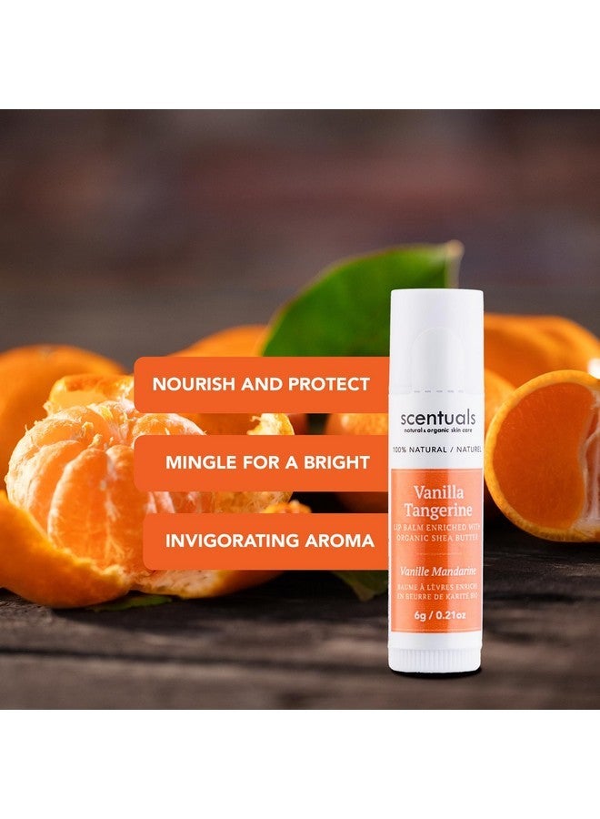Scentuals Lip Balm Vanilla Tangerine Set of 3, Made with Shea Butter, Cocoa Butter, Avocado & Jojoba oil, Beeswax, Vitamin E and Essential oil, Moisturizing Lip Care, Cruelty Free Hydration, Natural (3 Pack) - Image 3