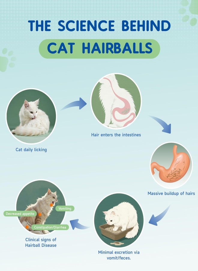 IRALUN Hairball Treatment for Cats- Hair Ball Relief Digestive Aid-Hairball Support Remedy- Promotes Healthy Digestion, Eliminates & Prevents Hairballs, for All Ages & Breeds 2fl oz - Image 3