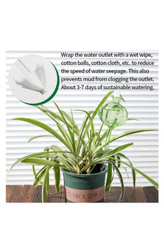 SYOSI Self Watering Planter Insert Plant Watering Devices Cactus Plant Watering Bulbs Plant Watering Automatic Plants Self Watering Globes Insert for Indoor and Outdoor Plants Accessories 3 Pack  - Image 4