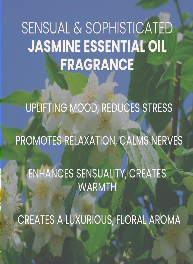 Ahimsa Gentle Daily Shampoo | Sulfate & Paraben Free Vegan Natural Shampoo for Dry, Curly & Color Treated Hair | Cruelty Free, Apple & Oat Amino Acids - Image 5