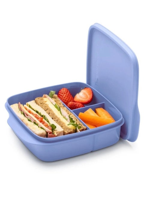 Eco+ Divided Lunch Box Sq. 550 ml