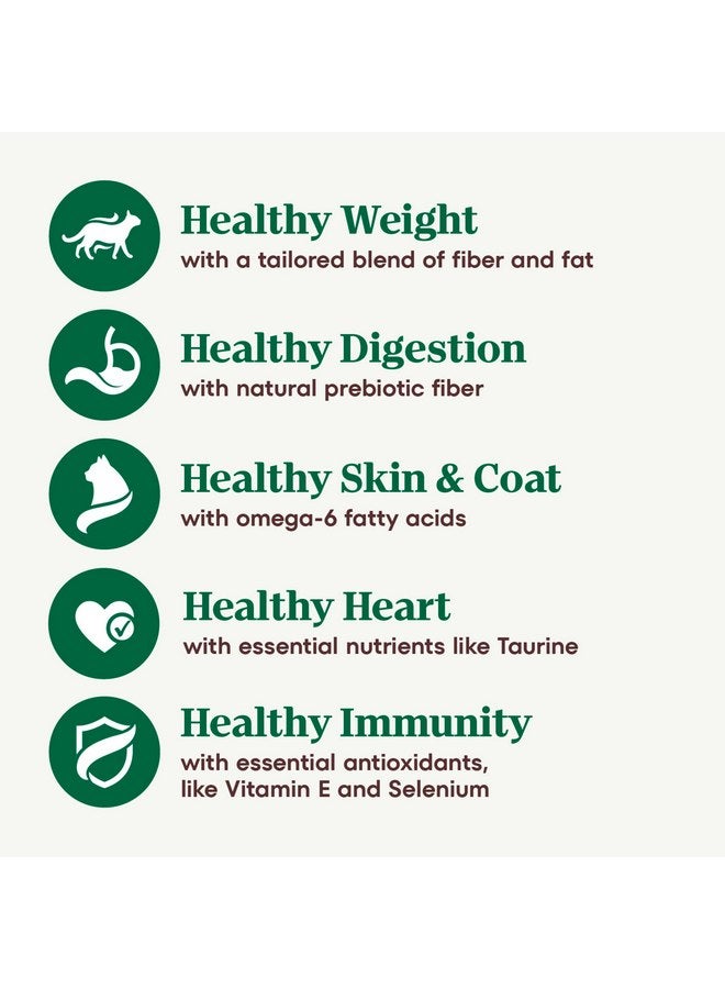 نوترو طعام القطط الجاف Nutro Wholesome Essentials Indoor، وصفة الدجاج والأرز البني، 5 رطل. - Image 4