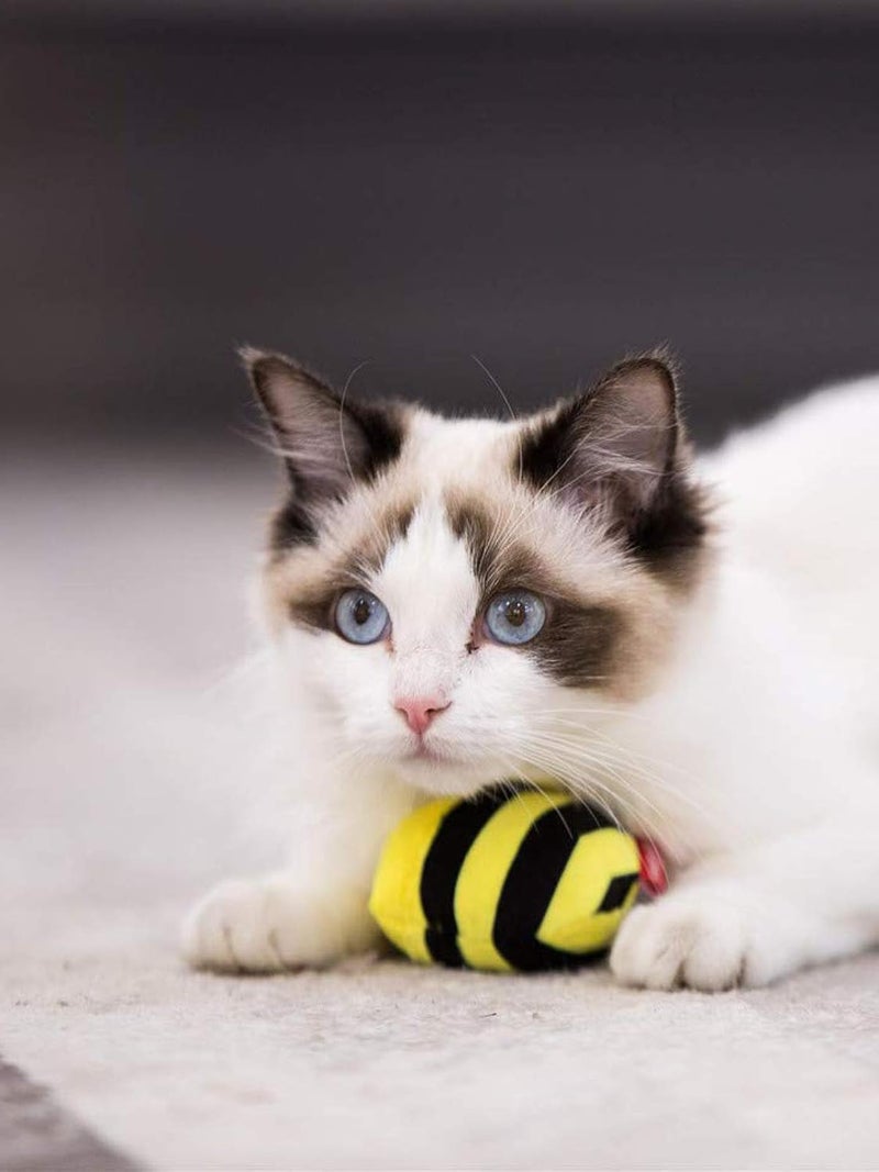 GiGwi Bee Melody Chaser Cat Toy - Plush Interactive Toy with Sound - Image 5