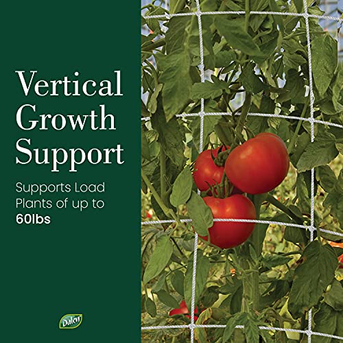 Dalen Gardeneer by Dalen Trellis Netting for Vertical Gardening – Heavy Duty Material – Tangle Free Nylon - 7" Mesh - 5' x 60' - Image 4