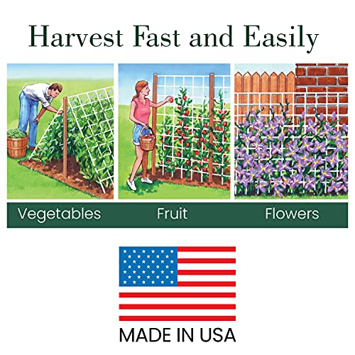 Dalen Gardeneer by Dalen Trellis Netting for Vertical Gardening – Heavy Duty Material – Tangle Free Nylon - 7" Mesh - 5' x 60' - Image 5
